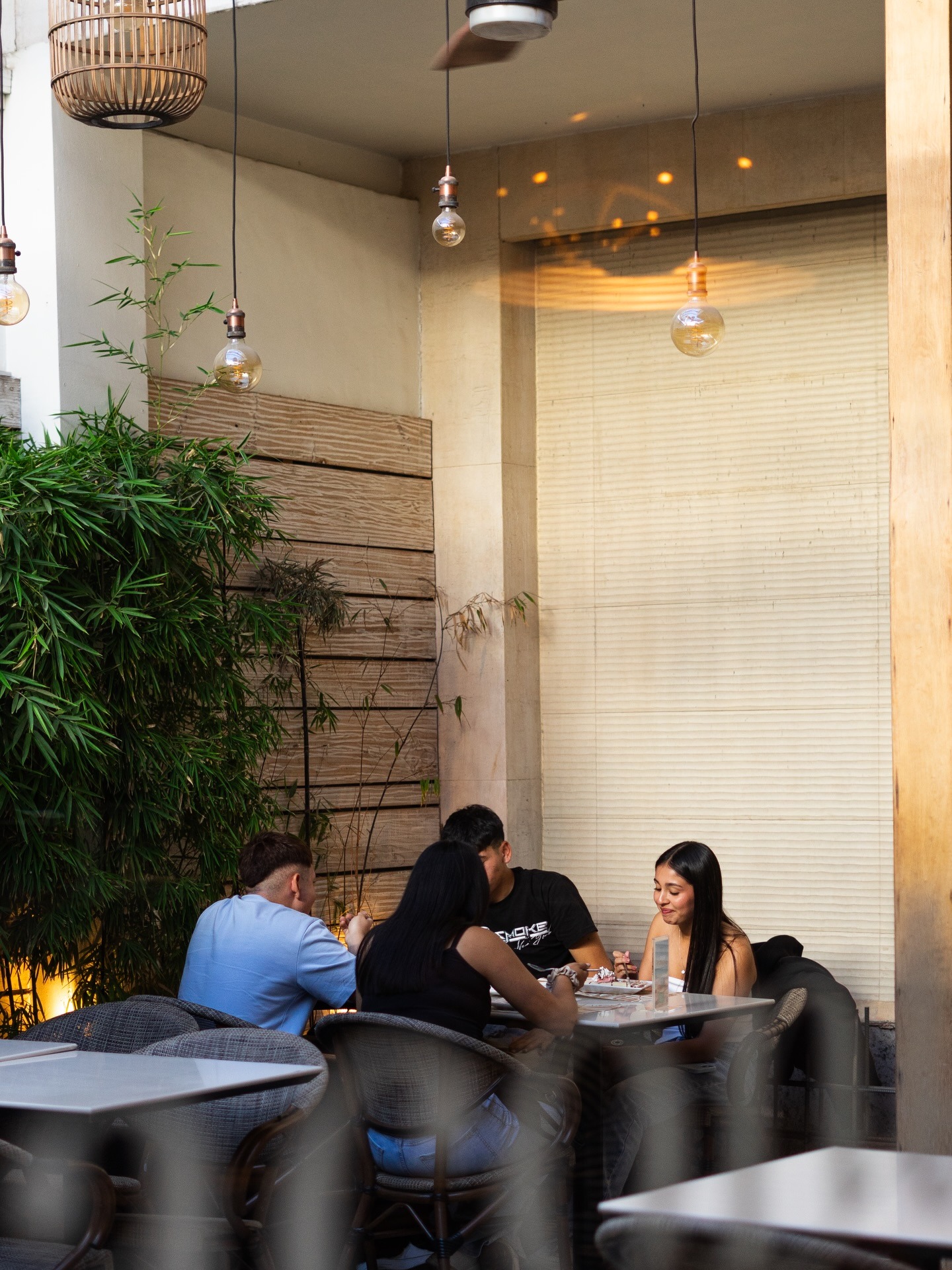 Terraza interior de Raconto San Felipe con bambú y lámparas colgantes